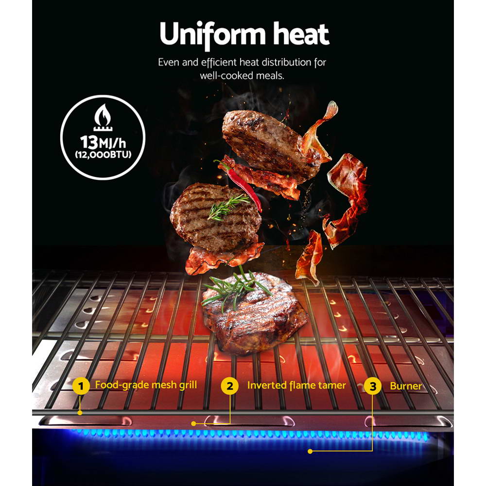 Portable Gas BBQ