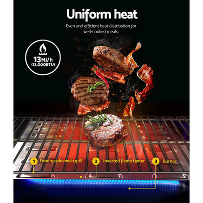 Portable Gas BBQ